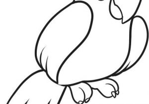 300x210 Drawing A Cartoon Parrot How To Draw Cartoon Parrot Pirate Drawing