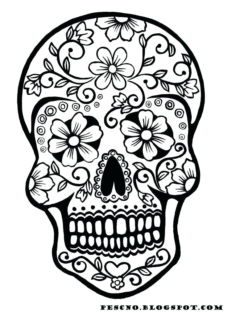 736x1012 Pirate Skeleton Coloring Pages Skull Color Of Skulls Sugar Auchmar
