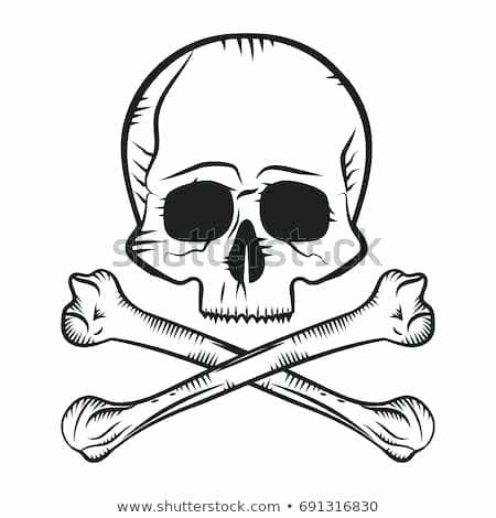 Pirate Skeleton Drawing | Free download on ClipArtMag