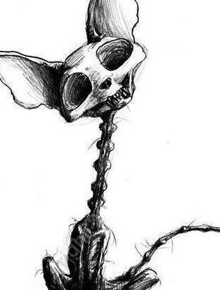 315x416 Rolo Loy Laurr Wiki Pirates Of The Caribbean Amino