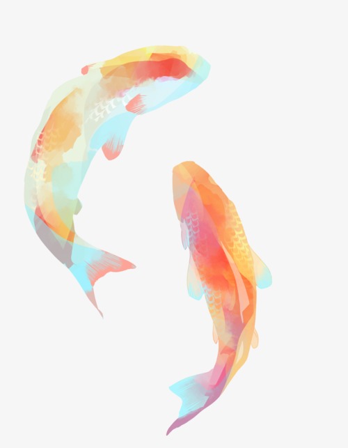 500x643 Drawing Pisces Pattern, Watercolor Fish, Watercolor, Fish Png
