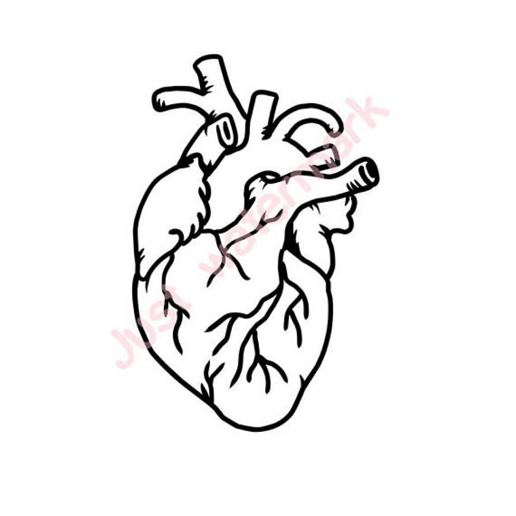 1024x1024 Great Collection Of Free Piston Drawing Clipart Download On Ui Ex