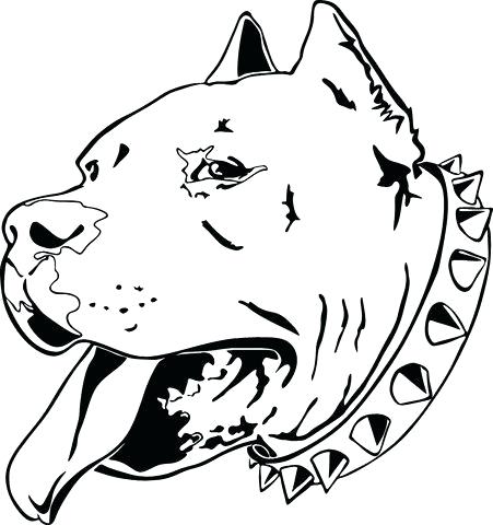 451x480 Drawings Of Pit Bulls Heads Head Drawing Icon Vector Free Vector