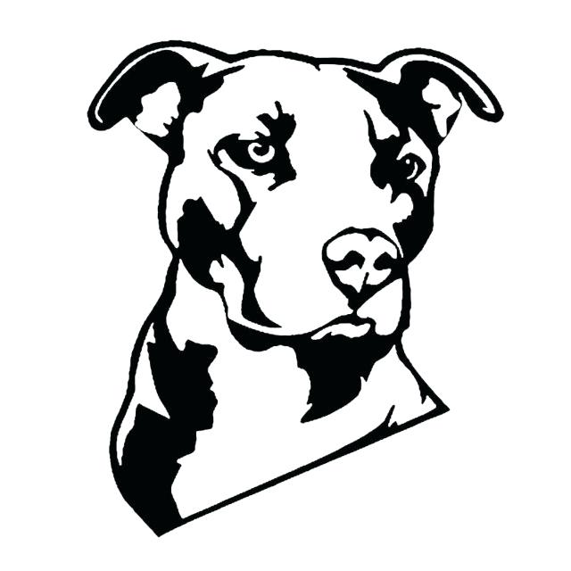640x640 Pitbull Cartoon Drawing Creative Cartoon Dog Vinyl Decal Cool