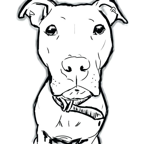 599x600 Pitbull Cartoon Drawing Drawn Spotted Ancient Rome Architecture