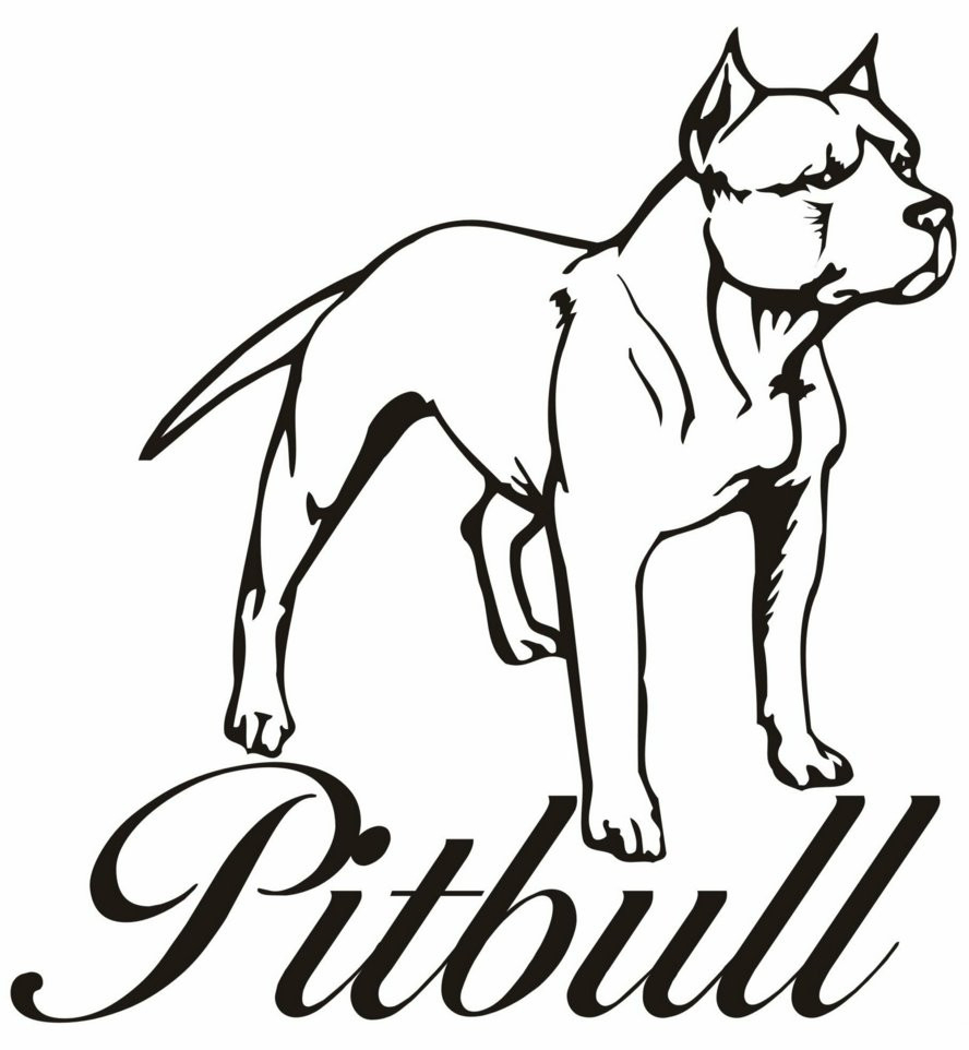 888x962 pitbull cartoon drawing and pitbull cartoon drawing puppy how