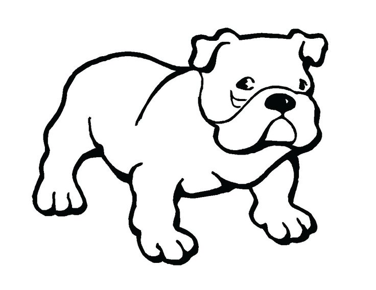 736x568 Pitbull Clipart Cartoon Baby