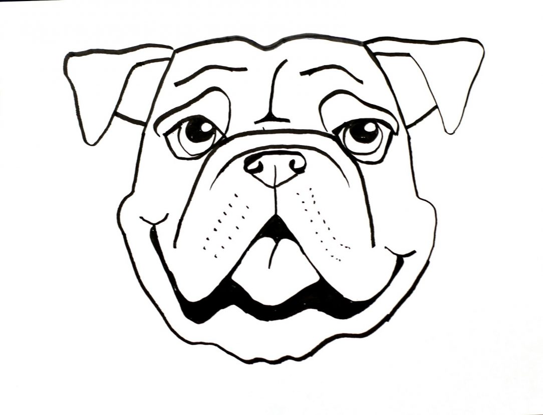 1084x829 Drawing Cartoon Dog Face Tutorial Step
