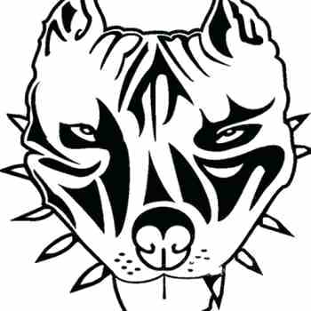 350x350 Pitbull Face Drawing Image Titled Draw A Step Pitbull Dog How