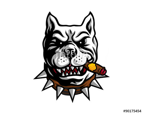 500x400 Smokers Dog Pitbull Stock Image And Royalty Free Vector