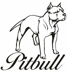 236x255 Best Pitbull Images Drawings, Pitbull Drawing, Animales
