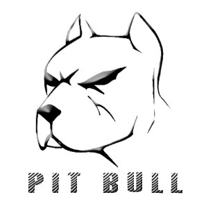 307x307 Pitbull Drawings