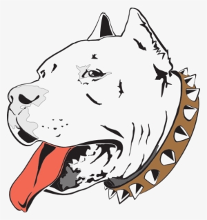 300x319 Pitbull Png, Transparent Pitbull Png Image Free Download