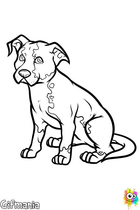 480x720 Collection Of Free Wings Drawing Pitbull Download On Ui Ex