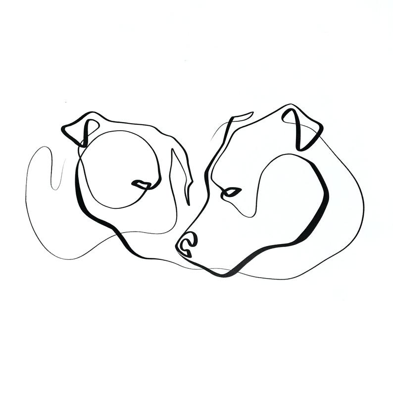 794x794 Drawings Of Pit Bulls Dog Drawing How To Draw A Pitbull Face