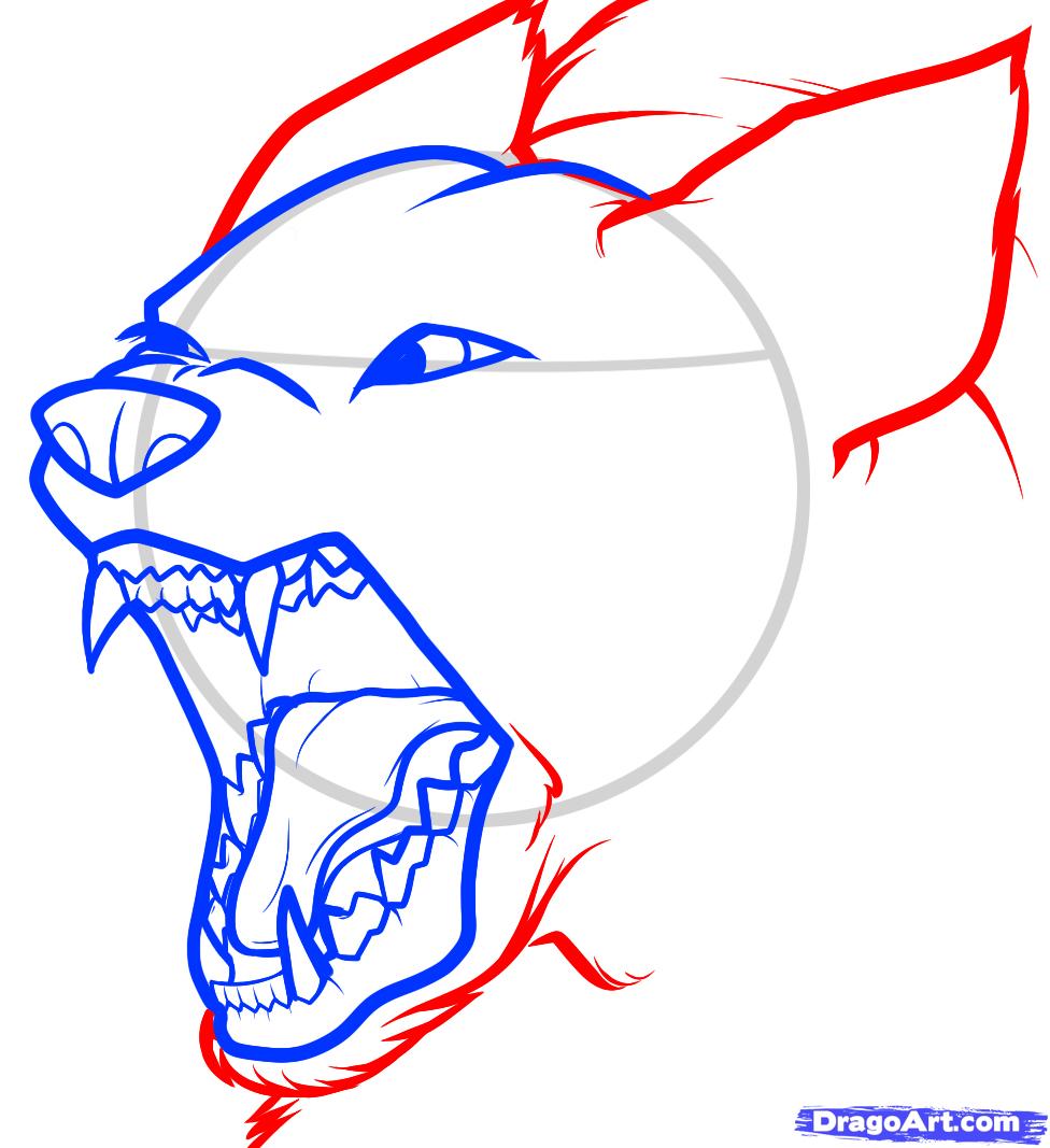 976x1067 How To Draw An Angry Dog, Angry Dog, Step