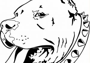 300x210 Pencil Drawings Of Pitbulls Black And White Pitbull Dog Face