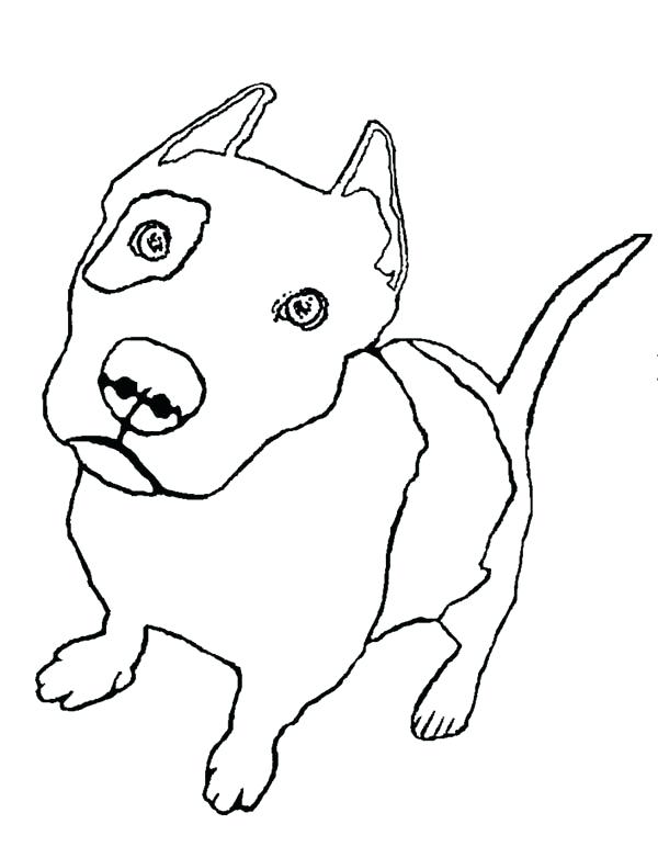 600x782 Pitbull Coloring