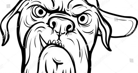 471x250 Pitbull Dog Drawing Face Easy Angry Outline Boxer Line Husky