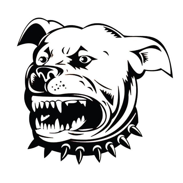 640x640 Pit Bull Dog Head Stickers Vota Color