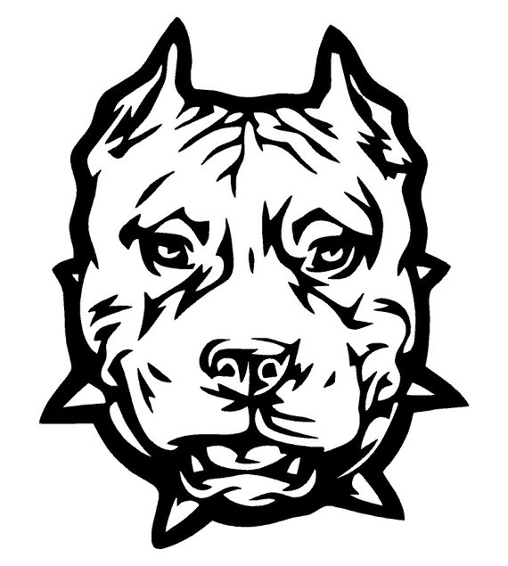 570x635 pitbull car decal for the car pitbull colors, vinyl decals, decals