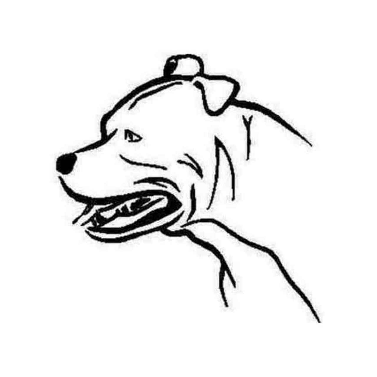1280x1280 Pitbull Head Side View Decal Sticker