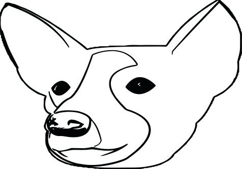 476x333 Puppy Face Drawing Pitbull Puppy Face Drawing