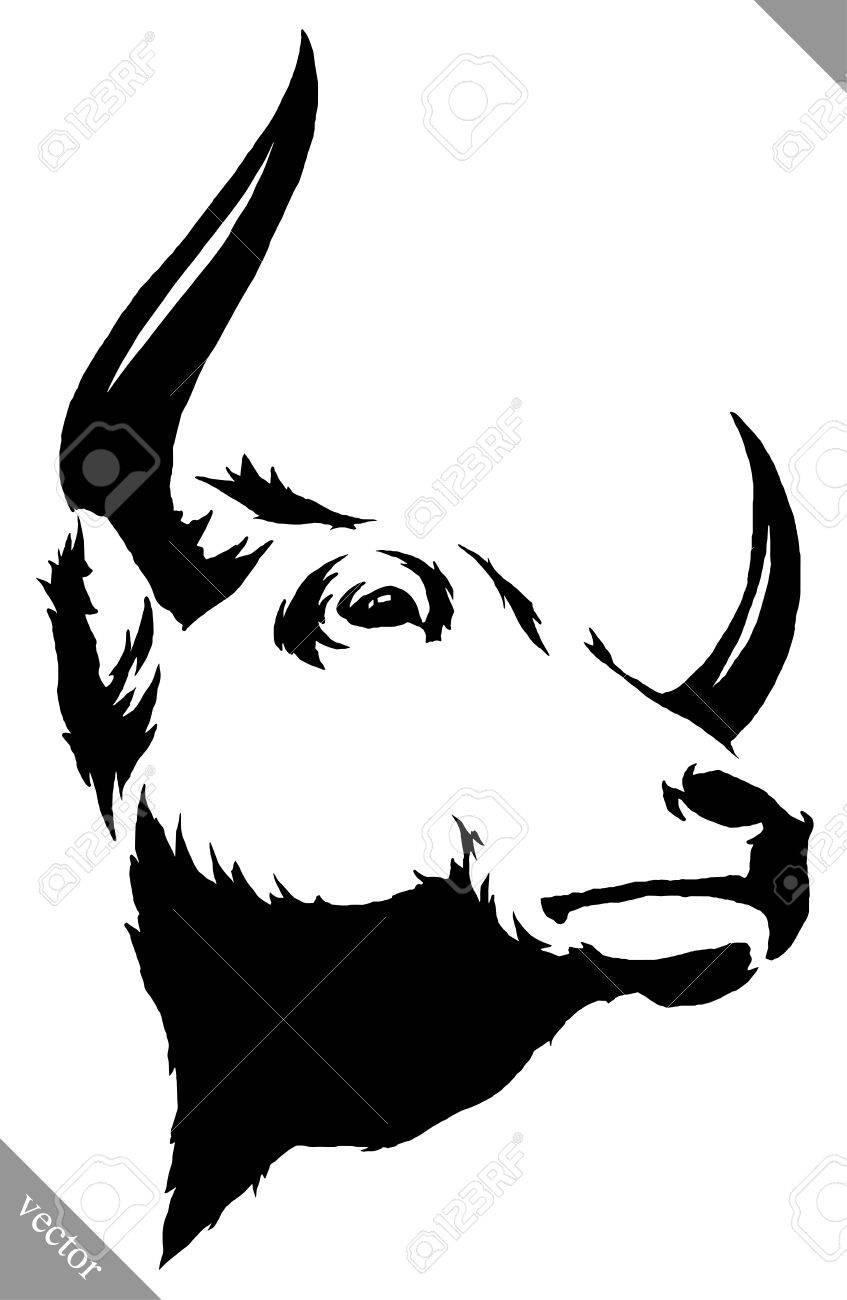 847x1300 Bull Drawing Tutorial Cat Pitbull Step