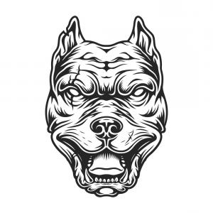 300x300 drawing of pitbull head on white background gm geekchicpro