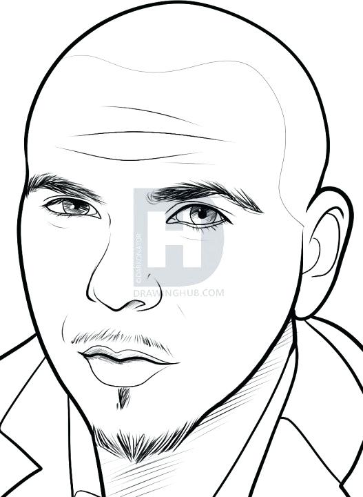 527x720 drawings of pit bulls pit bull and roses