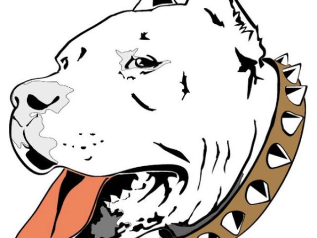 640x480 Free Pitbull Clipart, Download Free Clip Art