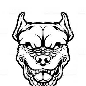 300x300 Photostock Vector Pit Bull Or American Bulldog Dog Face Outline