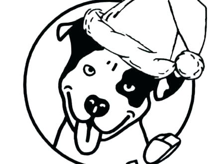 440x330 Pit Bull Coloring Pages Pitbull Printable Face Syrupbuttered Club