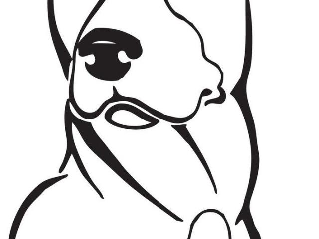 640x480 Pitbull Clipart Line Drawing