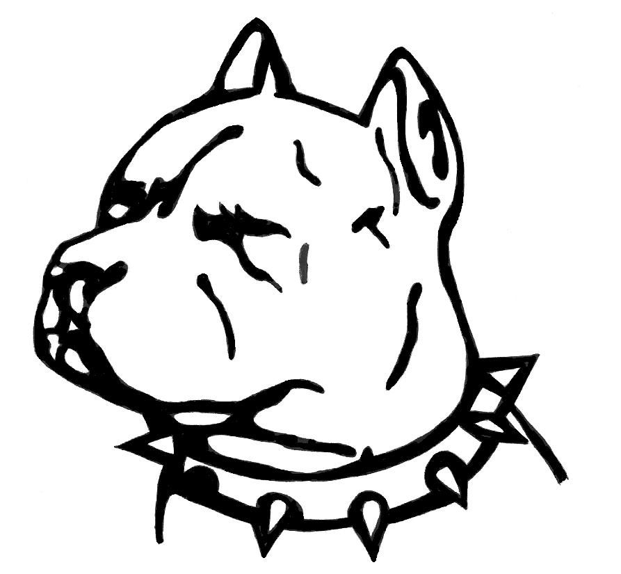 893x825 Pitbull Lineart Flash For Free Download