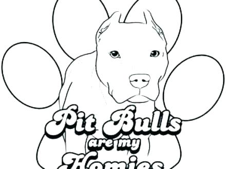 440x330 pitbull coloring pages line drawing pics pitbull dog coloring