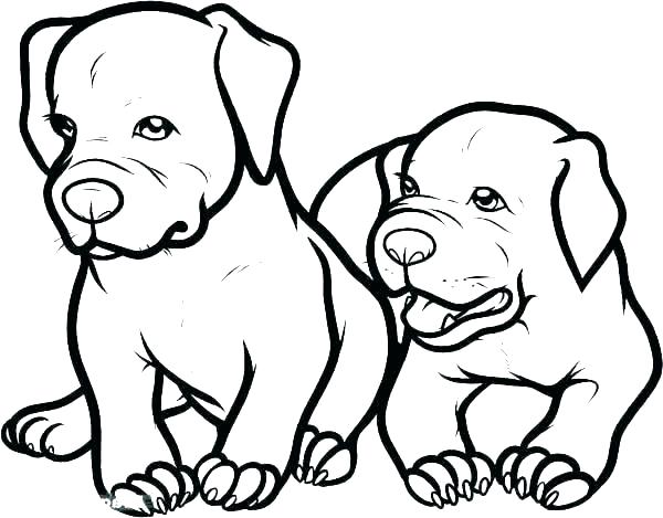 600x469 Pitbull Coloring Pages Realistic Coloring Pages Dog