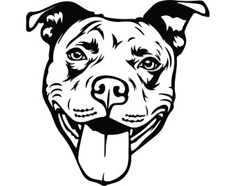 340x270 Pitbull Etsy