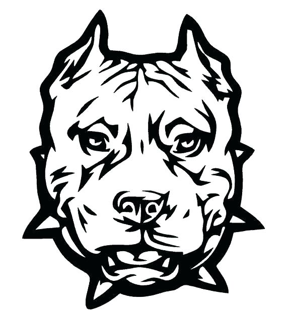 570x635 Pitbull Puppies Coloring Pages Boxer Dog Of Pit Bulls Pin Drawn