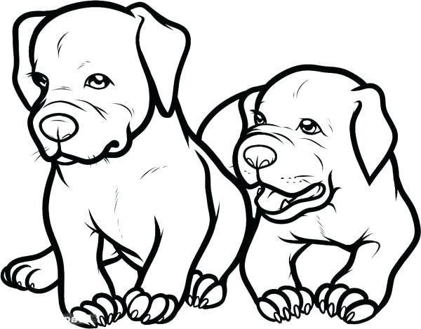600x469 Pitbull Puppy Coloring Pages