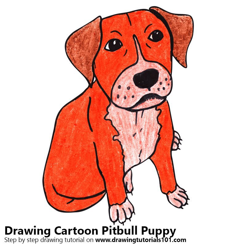 800x800 Cartoon Pitbull Puppy Colored Pencils Drawing Color