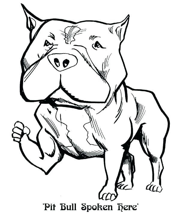 600x735 Coloring Pages Pit Bull Terrier Pitbull Pictures Games Download