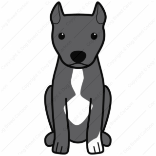 320x320 Pitbull Png, Backgrounds And Vectors Free Download