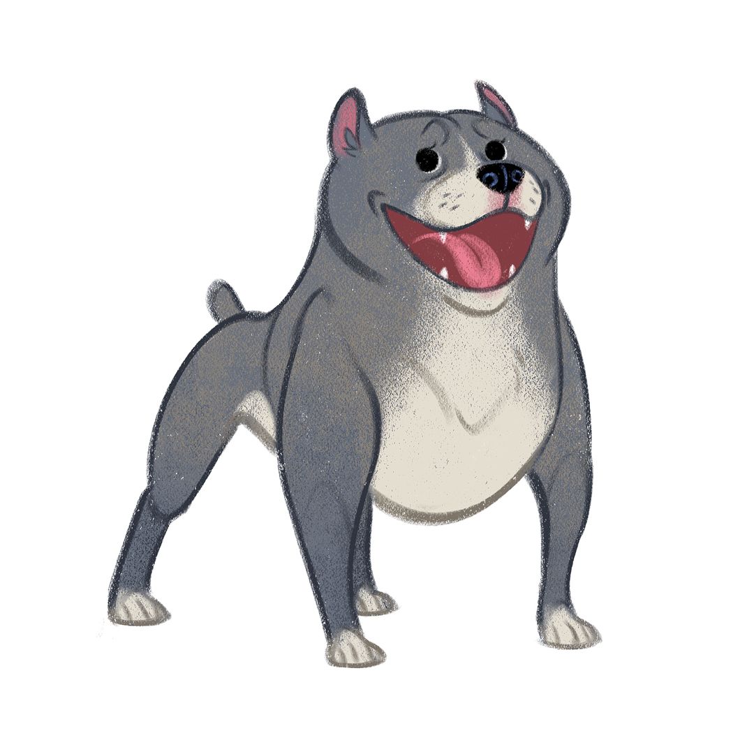 1080x1080 Who Says Pit Bulls Can't Be Cute Stallone And Tank