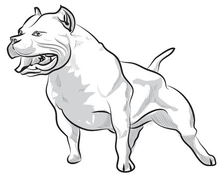450x365 Pit Bull Head
