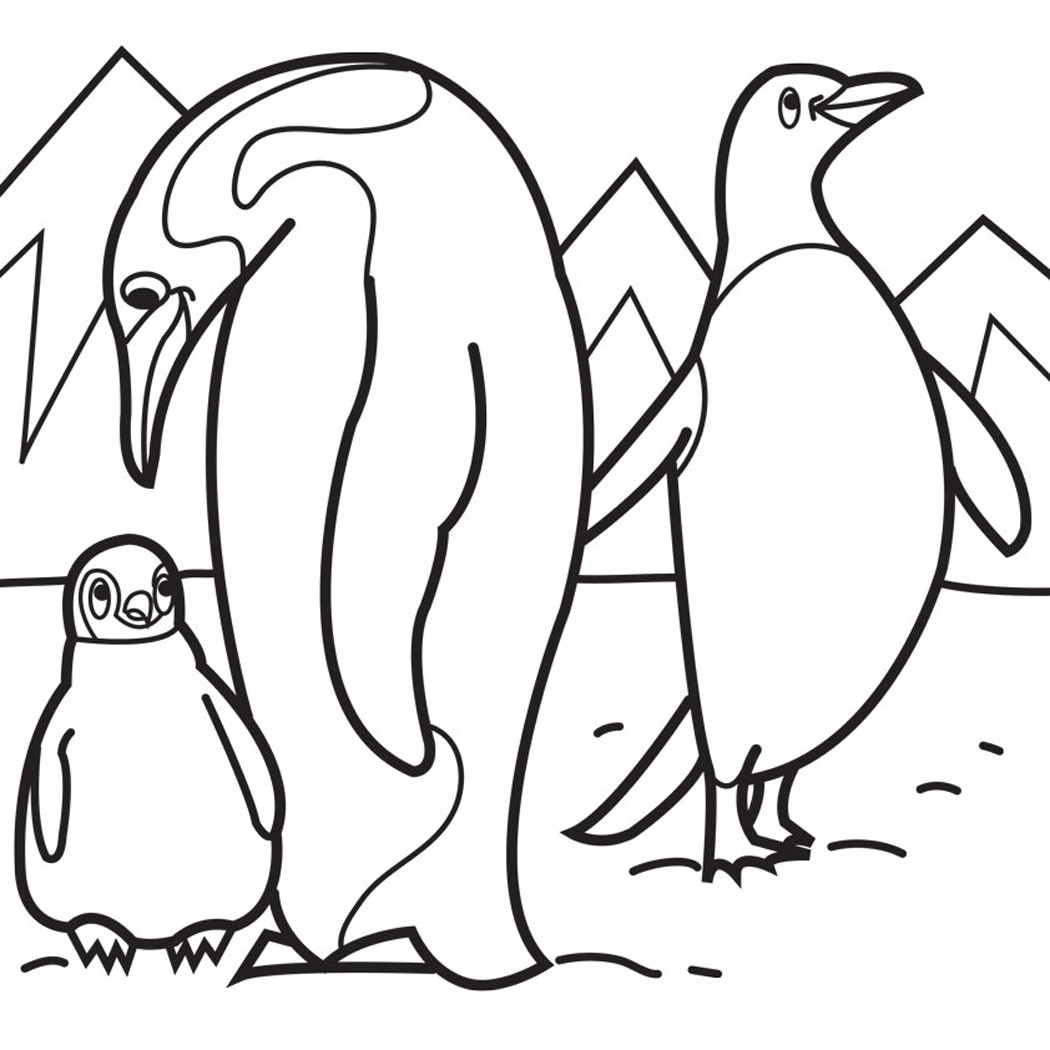 1050x1050 Cute Penguin Coloring Pages Home Pics Drawing How Draw Penguins