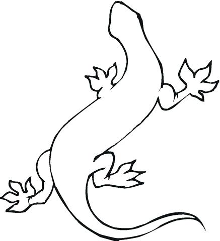 437x480 gecko coloring pages leopard gecko coloring