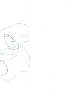 262x328 Drawing The Land Living Arts