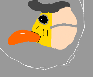 300x250 A Duck Plague Mask