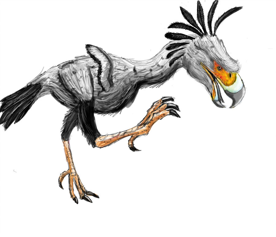 900x774 n american plains terror bird